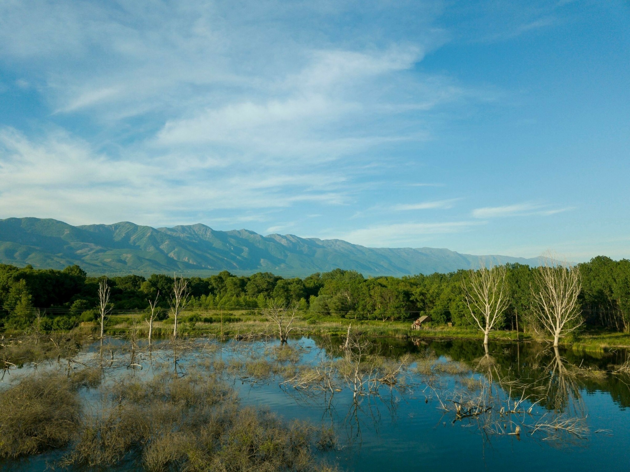 ΥΠΕΝ: «Πέπλο» προστασίας και ανάδειξης του δάσους των «Χιλίων Δέντρων» στις Μουριές Κιλκίς