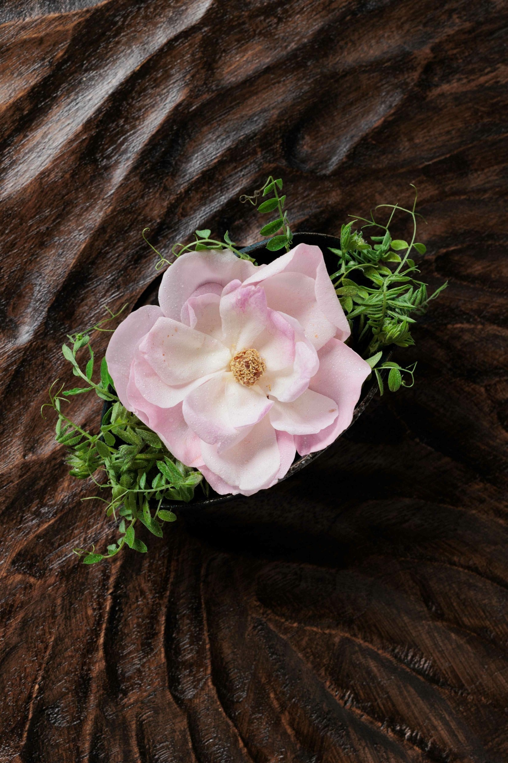 Το νέο μενού του Delta και ο στόχος των 3 αστεριών