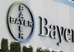 Bayer: «Άλμα» 40% για τη μετοχή μετά την πολυετή καθοδική πορεία (γραφήματα)