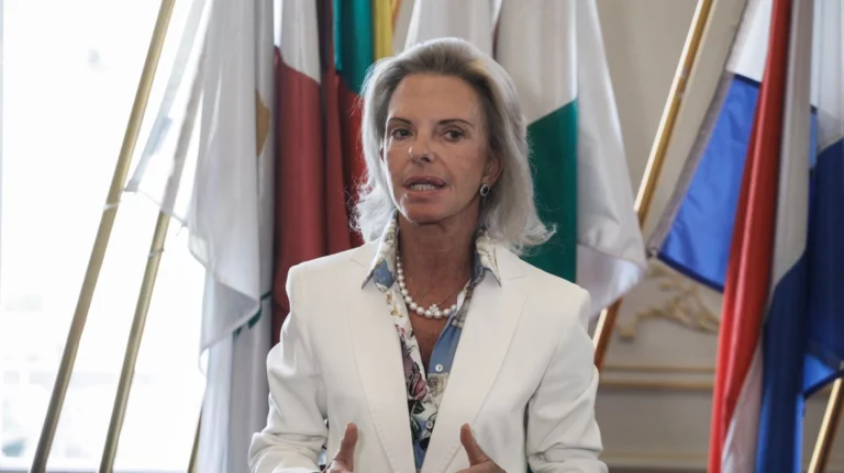 Πρόεδρος της Επιτροπής Μεταφορών και Τουρισμού στο Ευρωπαϊκό Κοινοβούλιο η Ελίζα Βόζενμπεργκ