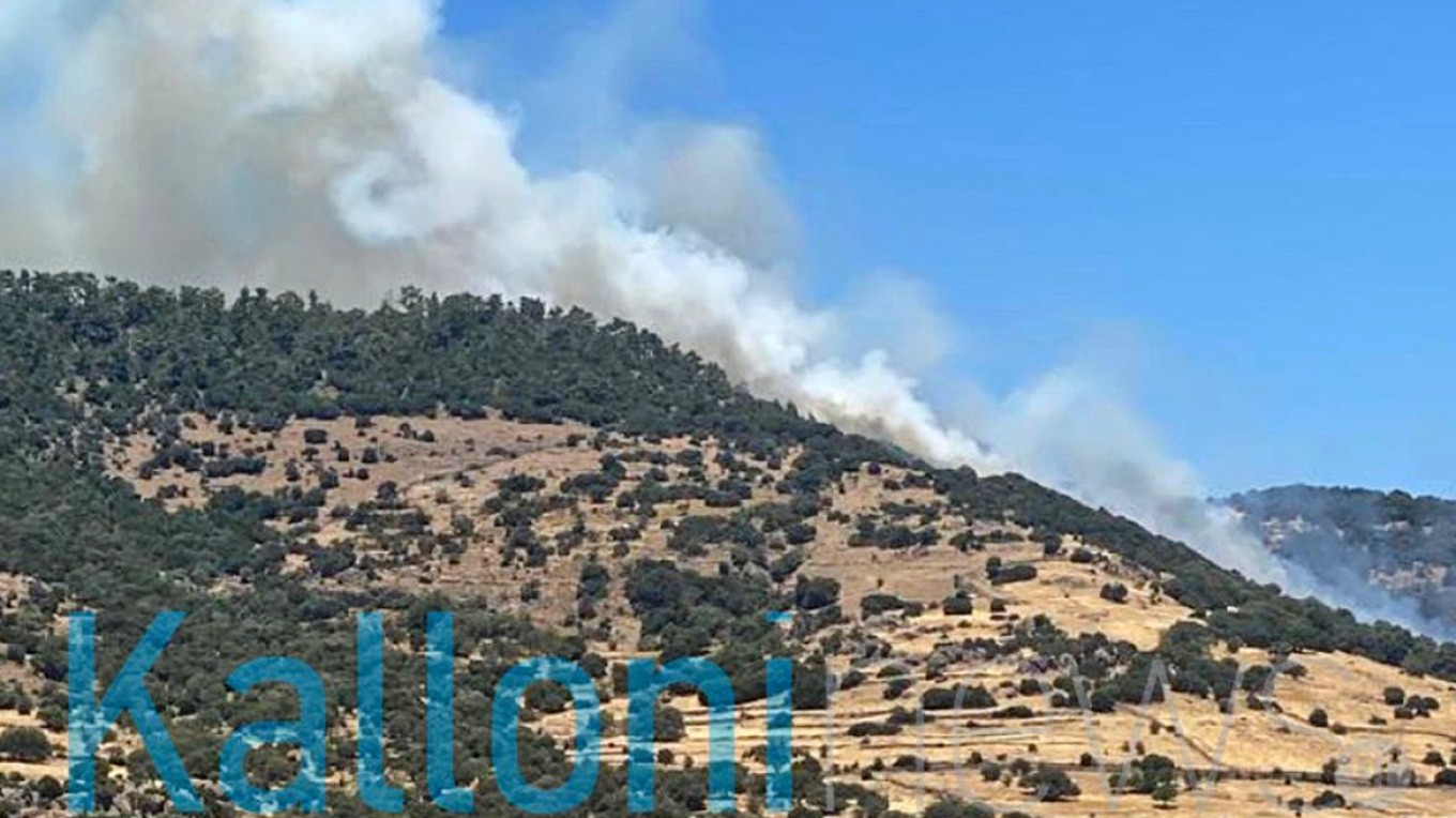 Λέσβος: Επτά αεροσκάφη και ένα ελικόπτερο στη μάχη με τη φωτιά (tweet)