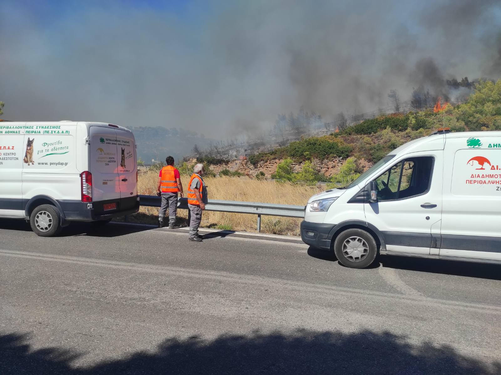 ΔΙΚΕΠΑΖ: Διάσωση ζώων μέσα από τις φλόγες (pics)