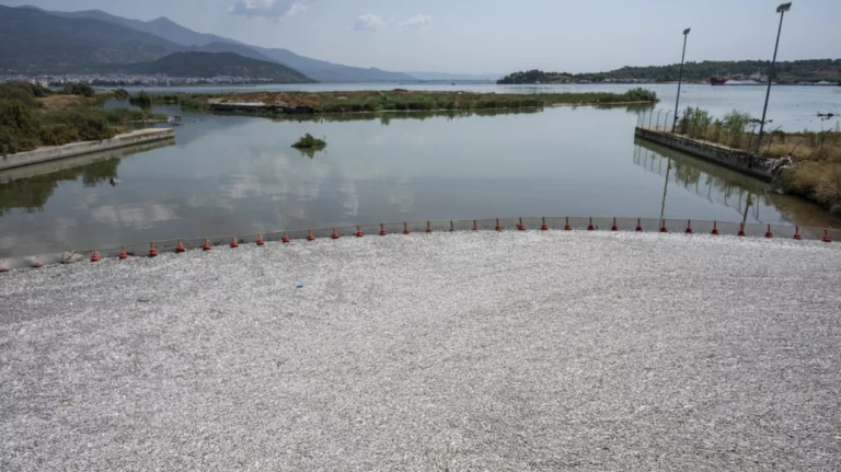 Παρέμβαση Αρείου Πάγου για τα νεκρά ψάρια στον Βόλο