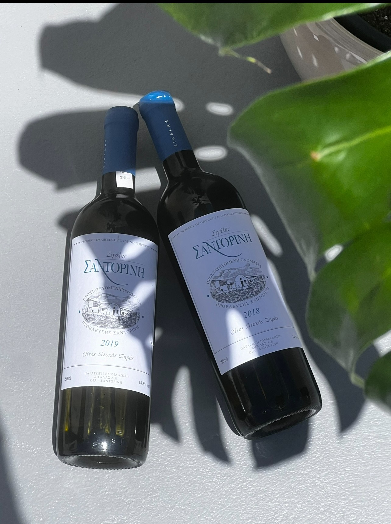 Μια νέα βίλα στην Σαντορίνη προσφέρει μια σπάνια οινική εμπειρία