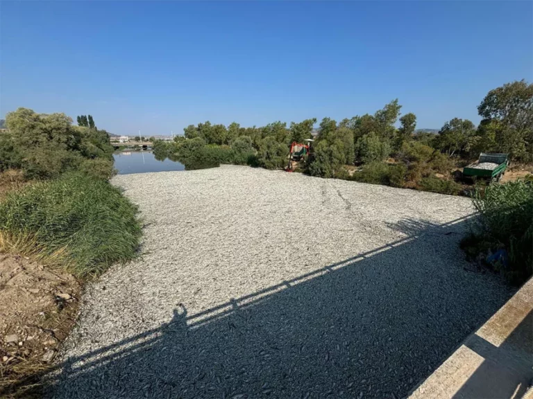 Βόλος: Μπήκε και δεύτερο πλέγμα στον Ξηριά για τη συγκράτηση των νεκρών ψαριών (vid)