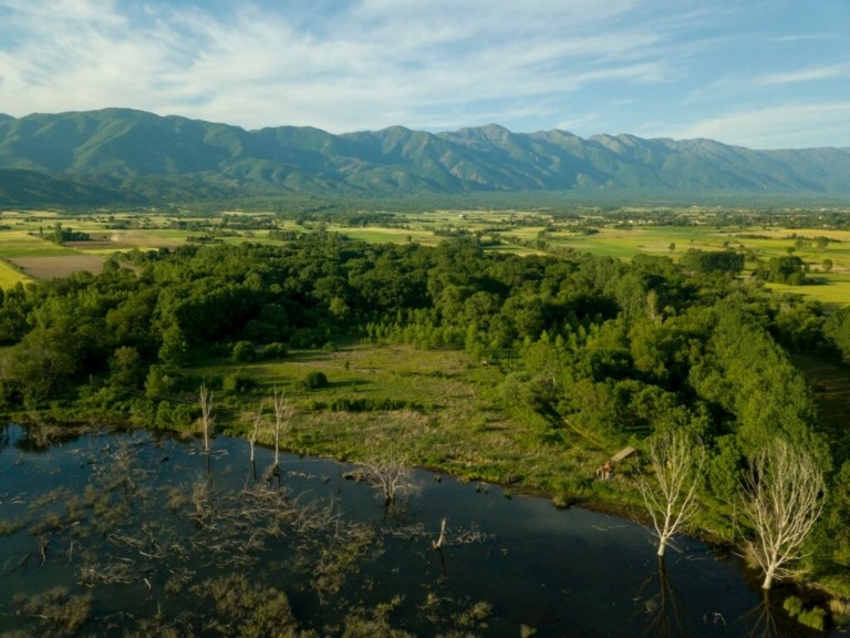 Θέσεις Εργασίας: 200 προσλήψεις σε 11 δασαρχεία