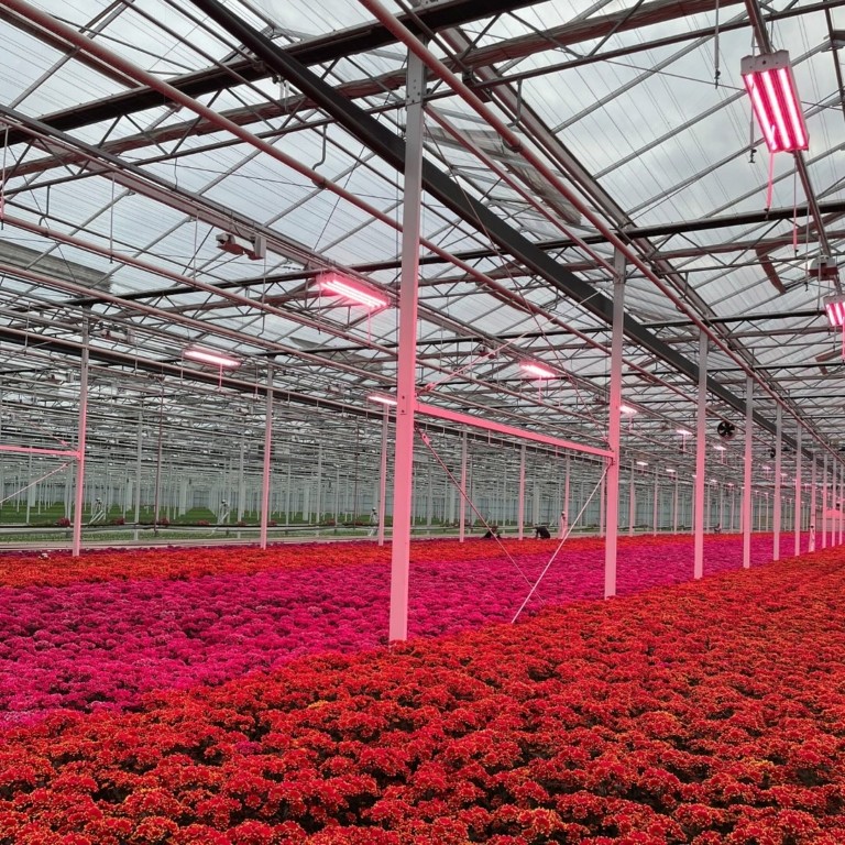 Γιατί ο Κυριάκος Μητσοτάκης μίλησε για θερμοκήπια στη ΔΕΘ (pics) (vid)