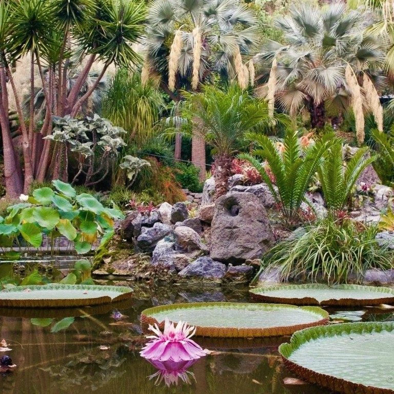 Tρεις ιστορικοί μαγευτικοί κήποι που συνεπαίρνουν