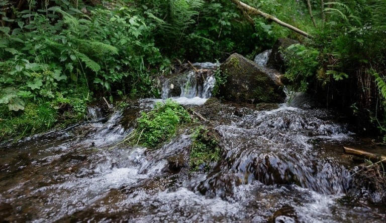 Η σοφότερη επιλογή για την υγεία μας είναι το νερό χωρίς νιτρικά