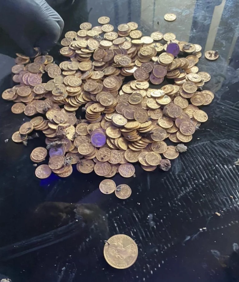 Όπλα, σφαίρες και λίρες εντόπισαν οι αστυνομικοί στους καταυλισμούς Ρομά της Φυλής και των Άνω Λιοσίων (vid)