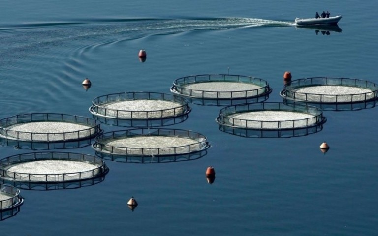 Δήμος Πόρου: Προχωρά σε διοικητικές και νομικές ενέργειες κατά της δημιουργίας ιχθυοκαλλιεργειών