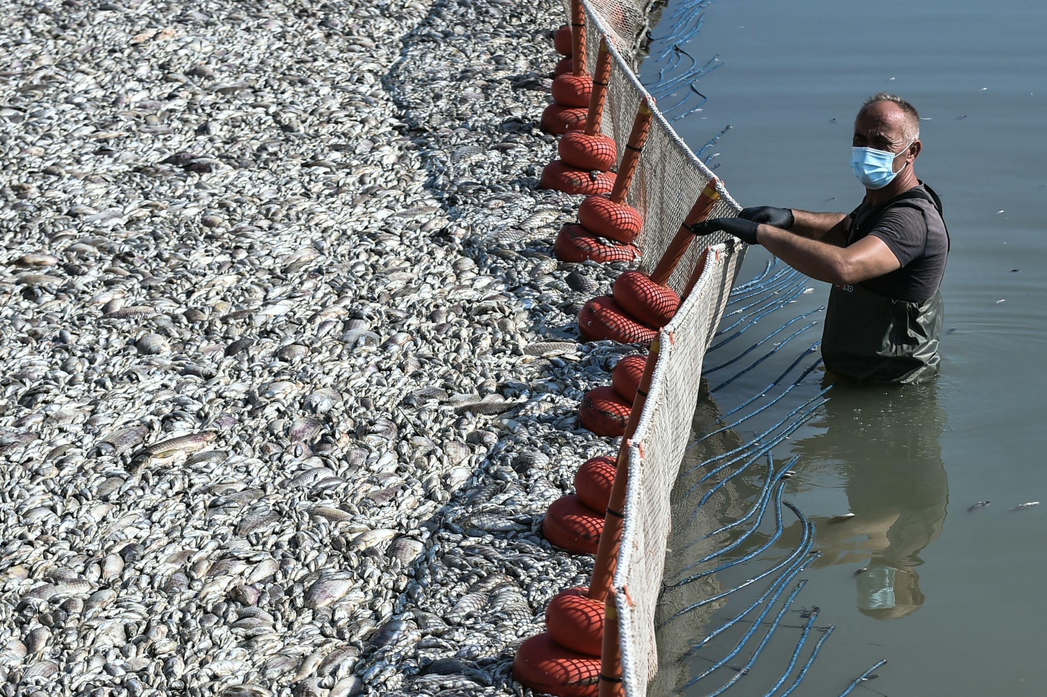 Γερμανικός Τύπος: Ποιος φταίει για την οικολογική καταστροφή στον Βόλο