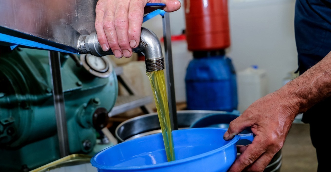 ΑΑΔΕ: Πώς αποκαλύφθηκε η φοροδιαφυγή σε ελαιοτριβεία – Το δαιδαλώδες κύκλωμα και τα απίστευτα έσοδα (γραφήματα)