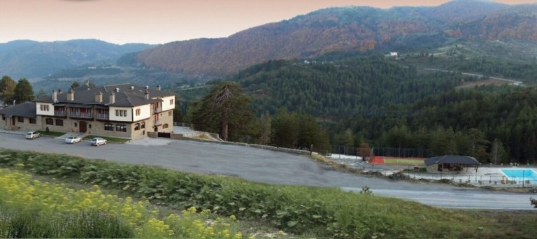 Πλειστηριασμοί: Το Vasilitsa Spa Resort και το «σκόντο» για την Ελφίκο (pics)