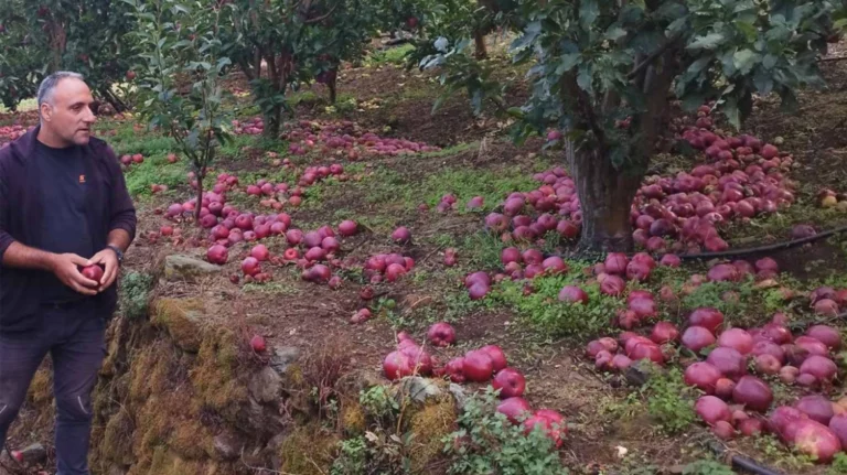 Kλιματική αλλαγή: Απειλεί τις καλλιέργειες του Θεσσαλικού κάμπου