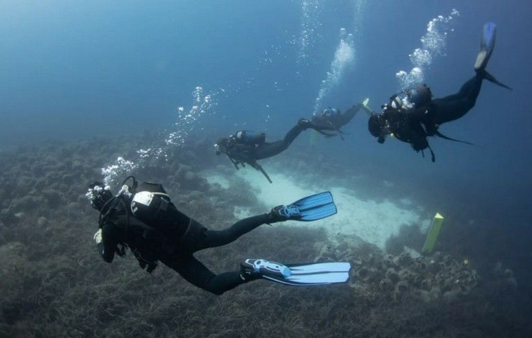 Καταδυτικός Τουρισμός: Πρόσκληση υποβολής αιτήσεων για την ενίσχυση της δράσης