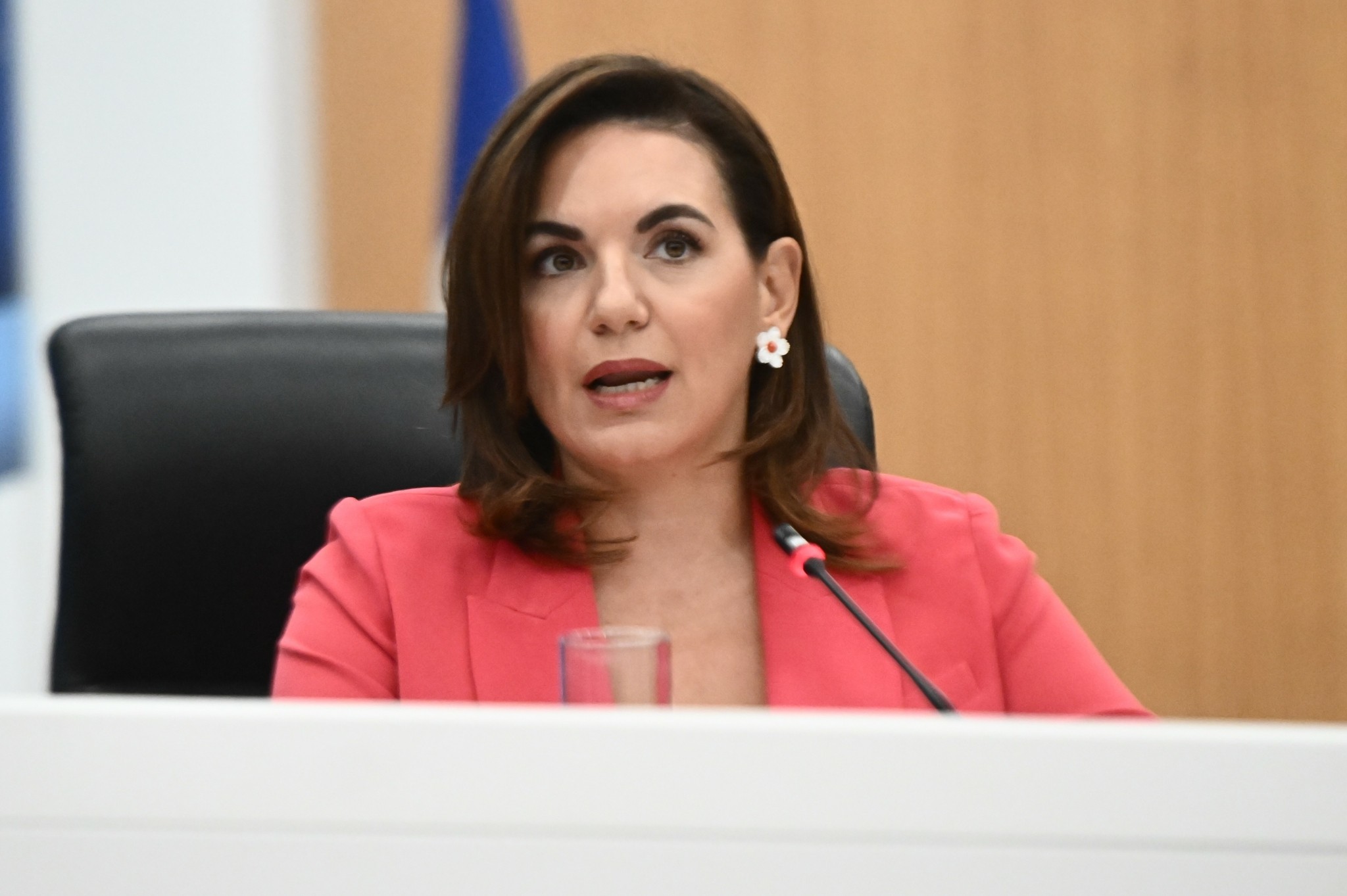 H Ολγα Κεφαλογιάννη πήρε την προσωρινή επιμέλεια των παιδιών της