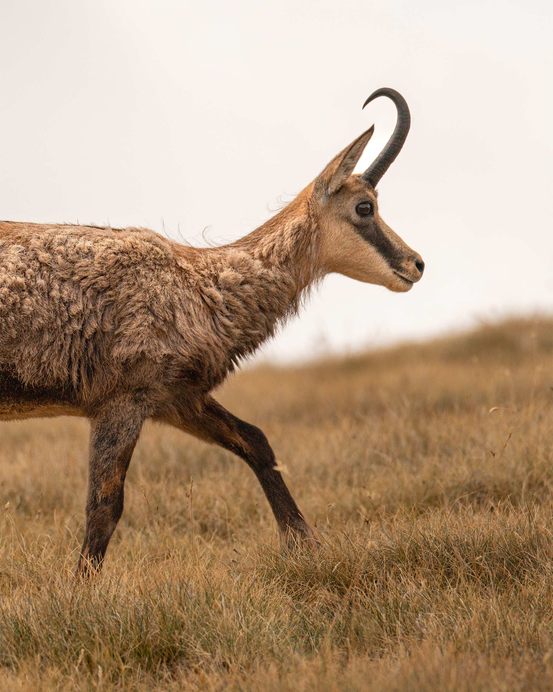 Ολυμπος: H πιο εντυπωσιακή διαδρομή για ανάβαση στο μυθικό βουνό