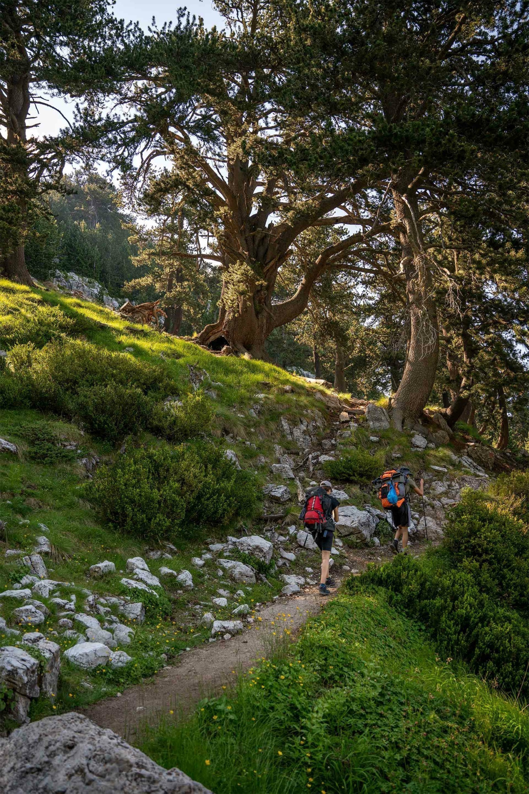 Ολυμπος: H πιο εντυπωσιακή διαδρομή για ανάβαση στο μυθικό βουνό