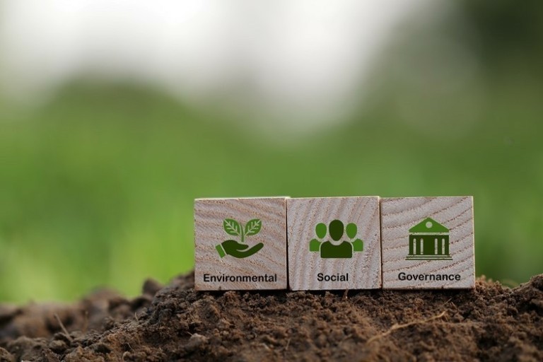 Η Βιωσιμότητα και το τρίπτυχο ίσες ευκαιρίες, συμπερίληψη, εξάλειψη διακρίσεων