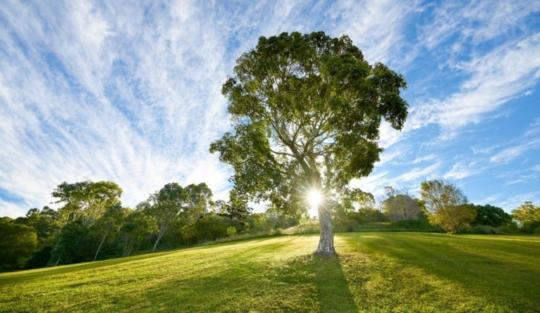 Σύγχρονες προκλήσεις και προτάσεις στη διαχείριση θεμάτων βιωσιμότητας