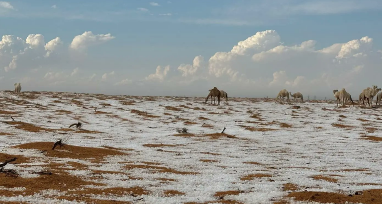Σπάνιο φαινόμενο: Χιόνισε στη Σαουδική Αραβία (tweets)