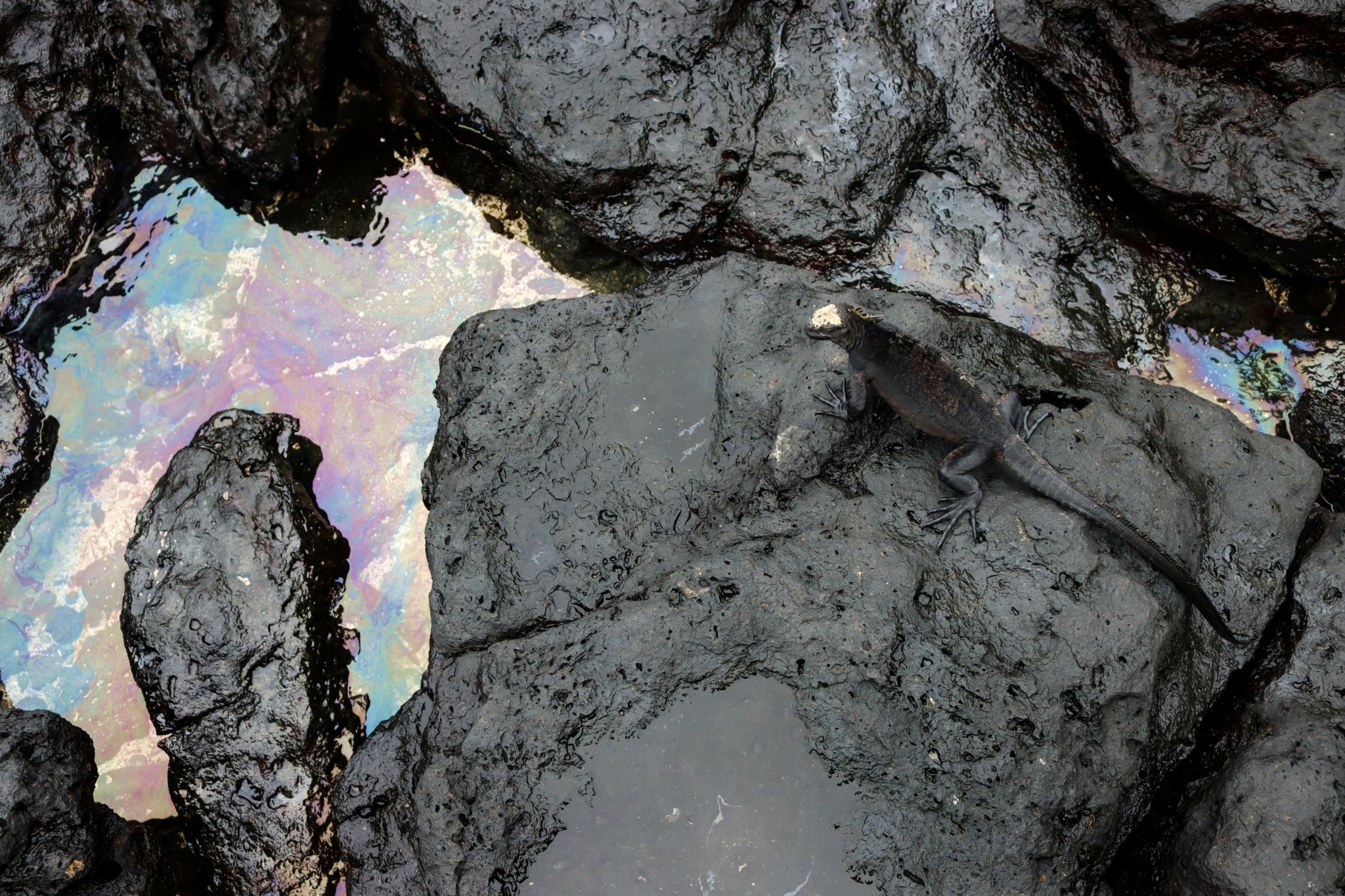 Ρωσία: Κατάσταση έκτακτης ανάγκης λόγω πετρελαιοκηλίδας στη Μαύρη Θάλασσα