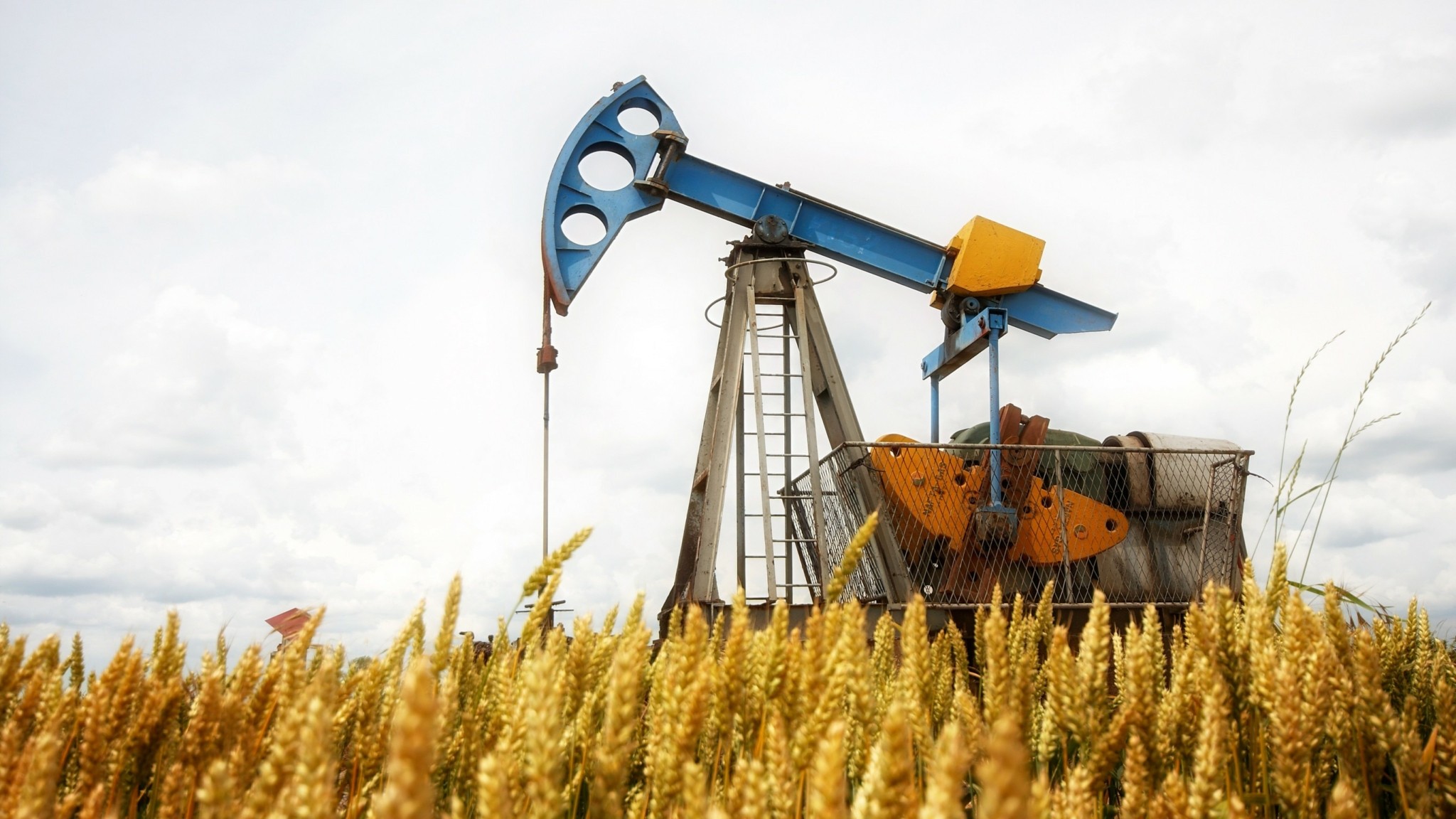 Εμπορεύματα: Oι προβλέψεις για τις τιμές και 5 γραφήματα – κλειδιά (πίνακες)