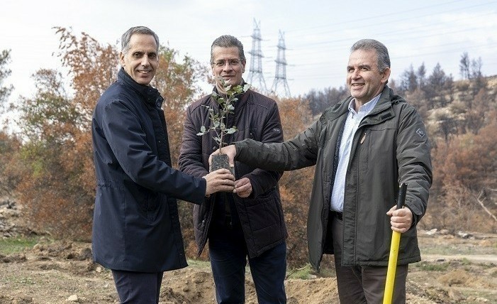 Η Nova ξεκίνησε την Αναδάσωση της Ιεράς Μονής Πεντέλης (pics)