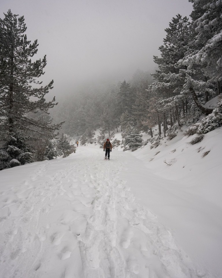 Χιόνια στην Πάρνηθα; Ένας χρήσιμος οδηγός αποφυγής ταλαιπωρίας