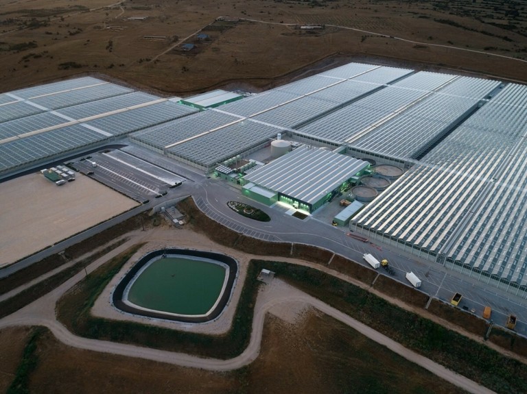 Wonderplant: Νέα επένδυση για φωτοβολταικό project 3 MW στο θερμοκήπιο της Δράμας