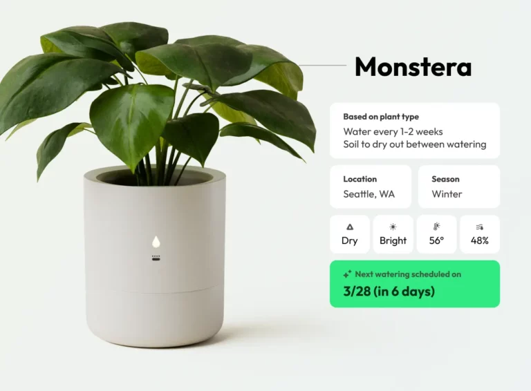 Πώς “μιλάμε” με τα φυτά μας χάρη στην τεχνητή νοημοσύνη