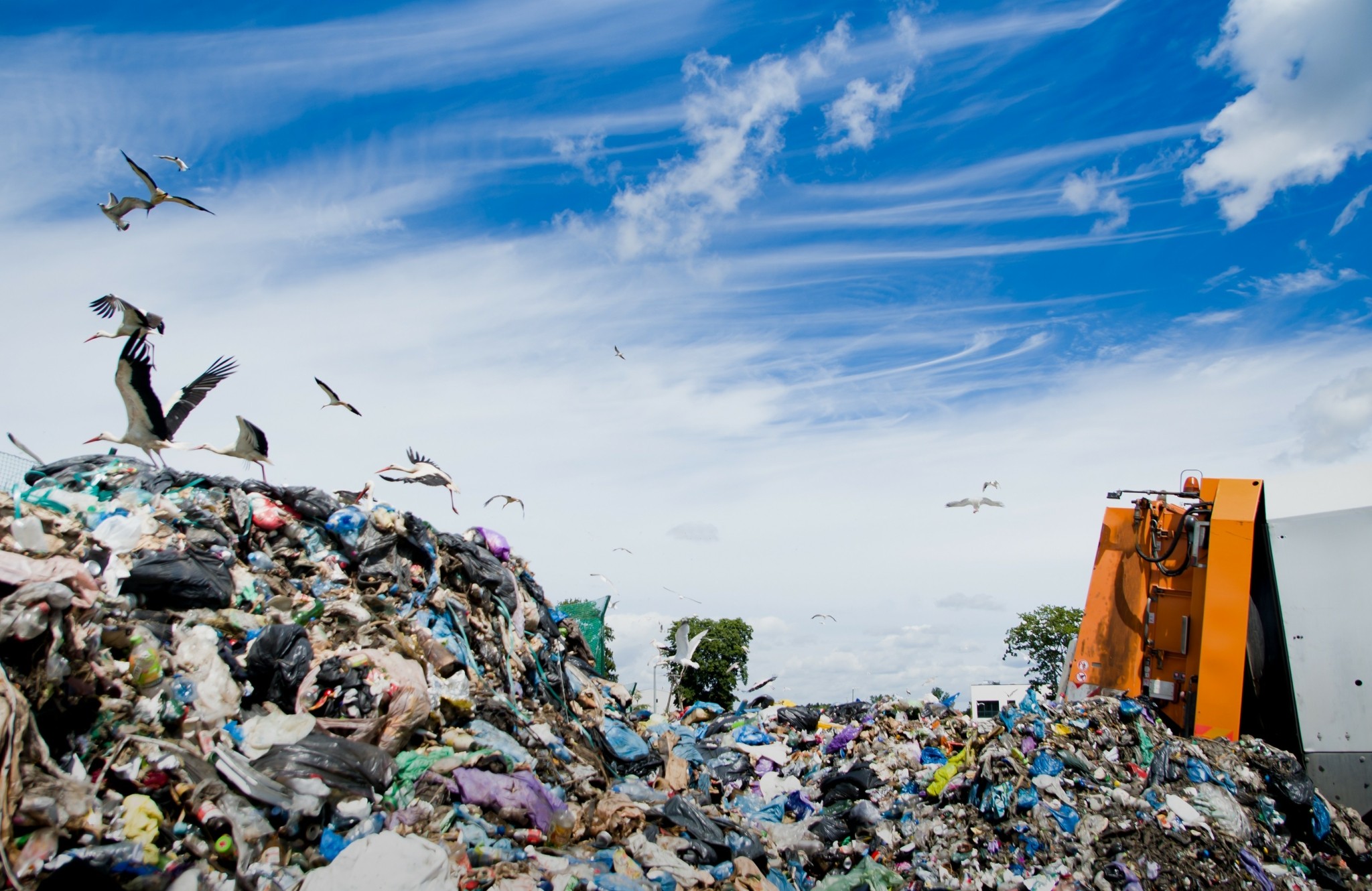 Απόβλητα χωρίς έλεγχο στην Πρέβεζα: Πώς μια παράνομη διαδρομή απειλεί υγεία και περιβάλλον (vid)