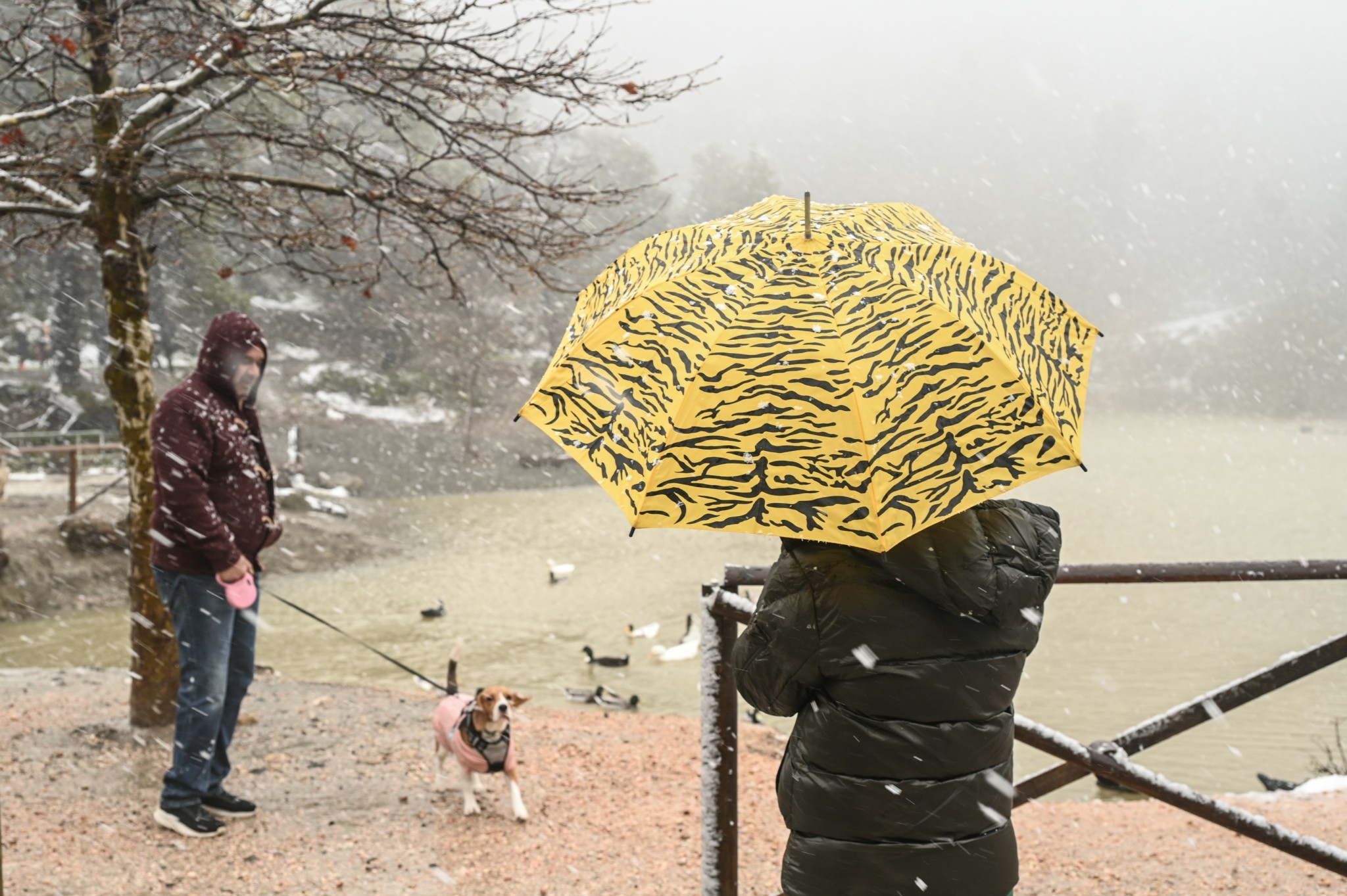 Καιρός: Από Κυριακή η πρώτη χειμωνιάτικη εισβολή του 2025 – Πού θα χιονίσει (tweet + vid)