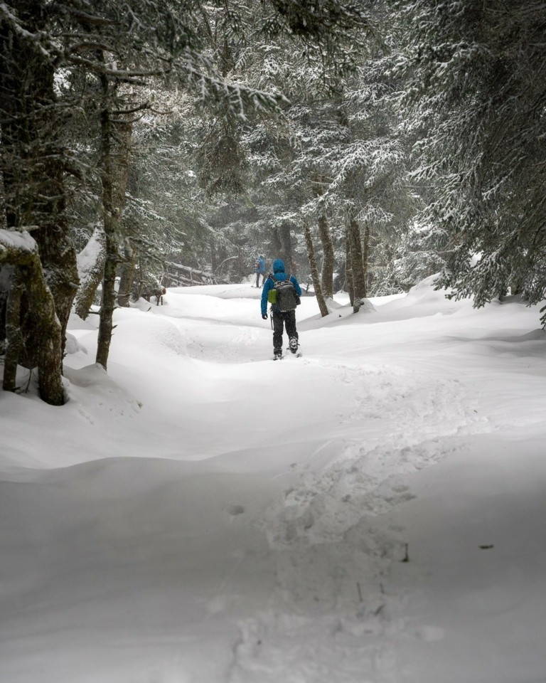Χιόνια στην Πάρνηθα; Ένας χρήσιμος οδηγός αποφυγής ταλαιπωρίας
