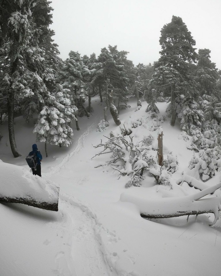 Χιόνια στην Πάρνηθα; Ένας χρήσιμος οδηγός αποφυγής ταλαιπωρίας