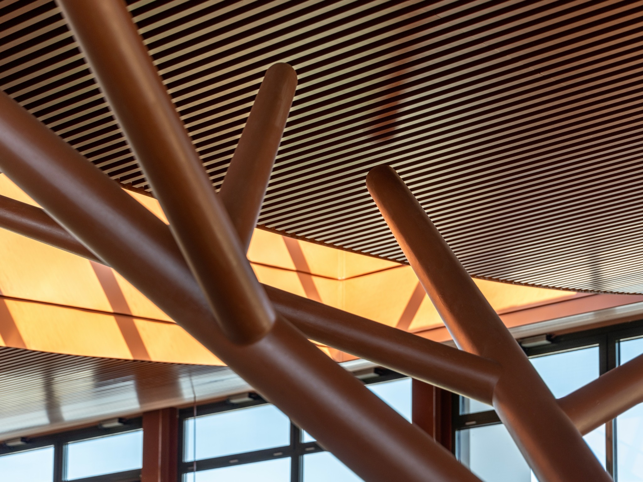 Οι εντυπωσιακές εγκαταστάσεις του κολλεγίου Ανατόλια που σχεδίασαν τρία αρχιτεκτονικά γραφεία