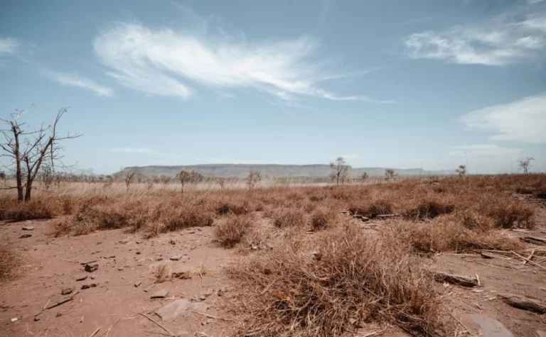 «Καμπανάκι» από τους επιστήμονες: Σε κίνδυνο οι καλλιέργειες για τα τρόφιμα από την κλιματική κρίση