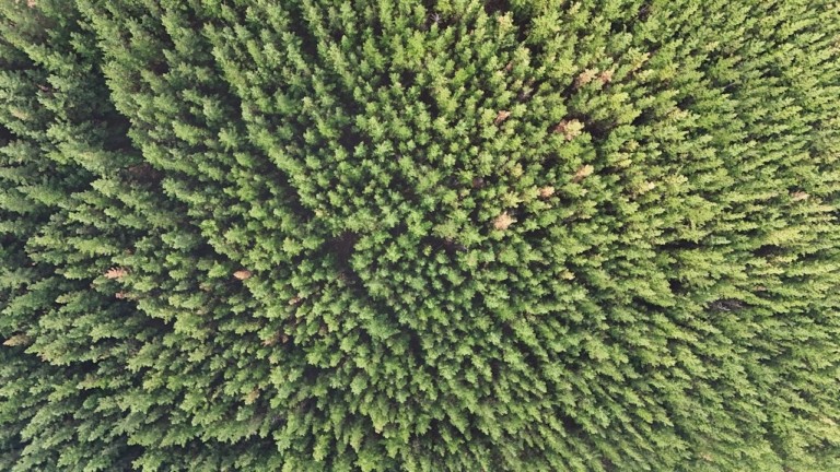 Πολύτιμος ο ρόλος της τεχνητής νοημοσύνης στη διατήρηση της βιοποικιλότητας