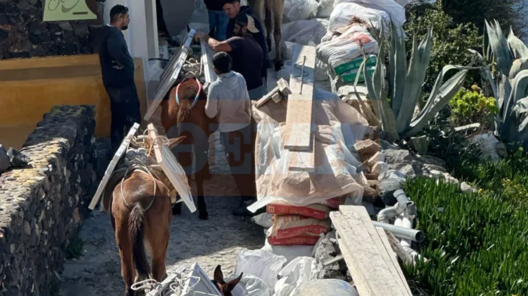 Εικόνες ντροπής στην Καλντέρα: Γαϊδουράκια φορτωμένα με βαριά οικοδομικά υλικά (vid)