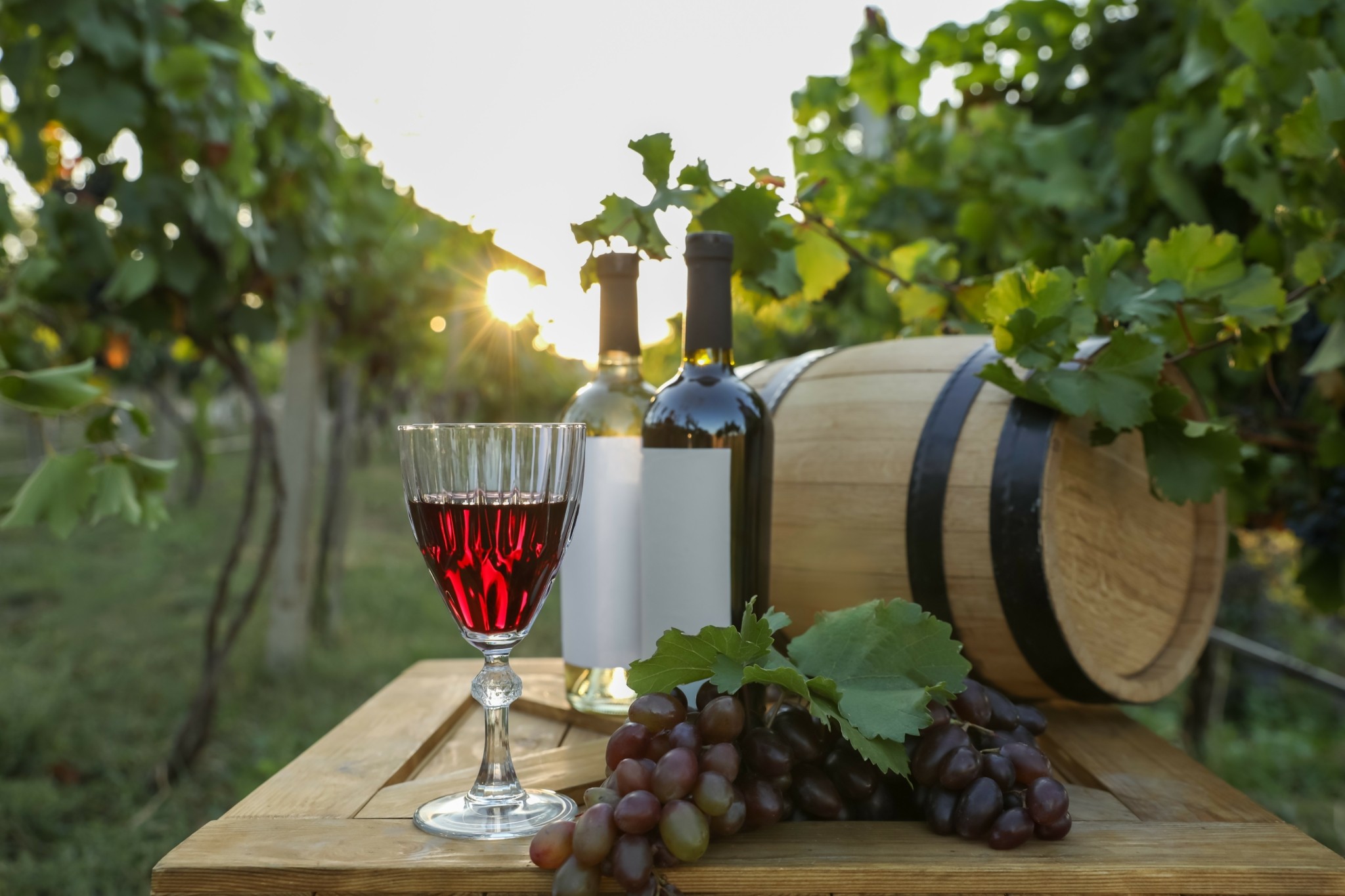 Νέα Ζηλανδία: Οι αμερικανικοί δασμοί «πονοκέφαλος» για το κρασί εν μέσω συγκομιδής-ρεκόρ