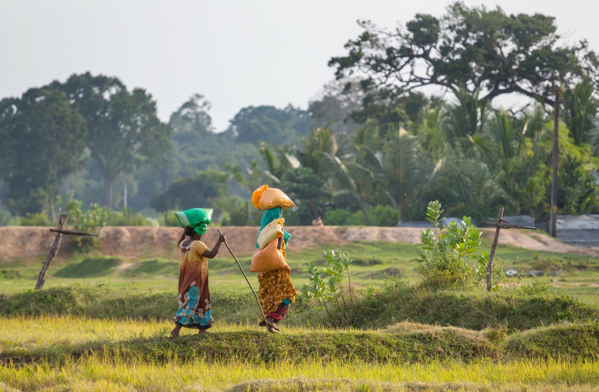 Οικονομικός Αρμαγεδδών για τις φτωχές χώρες από τους δασμούς Τραμπ