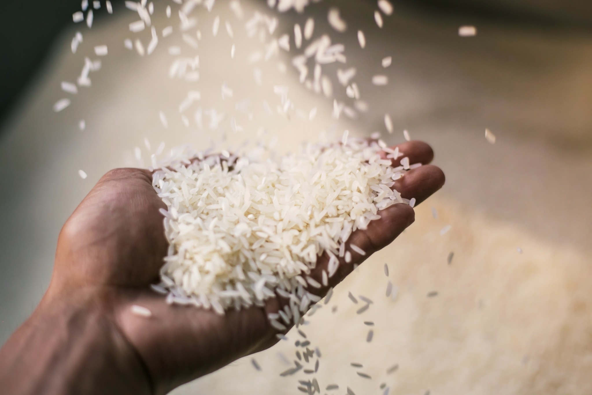 Ιαπωνία: Στο ναδίρ η δημοτικότητα του πρωθυπουργού Ισίμπα λόγω των αυξανόμενων τιμών στο ρύζι