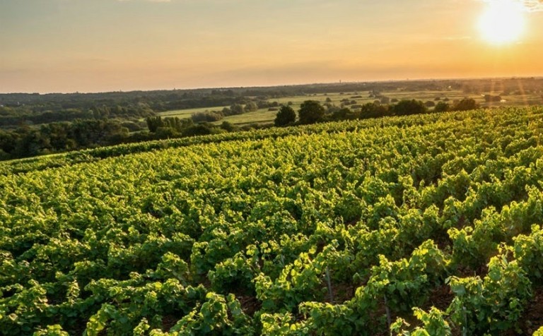 Τα οφέλη της εκπαίδευσης και επιμόρφωσης των αγροτών