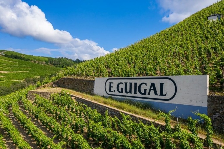 Κρασί: Υπόκλιση στην Αγία Τριάδα του Ροδανού