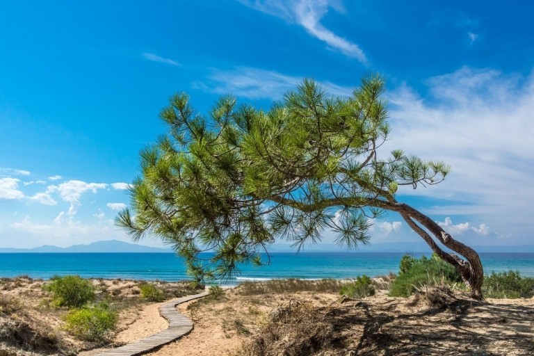 World’s 50 Best Beaches: Αυτή είναι η καλύτερη παραλία στην Ελλάδα (vid) 