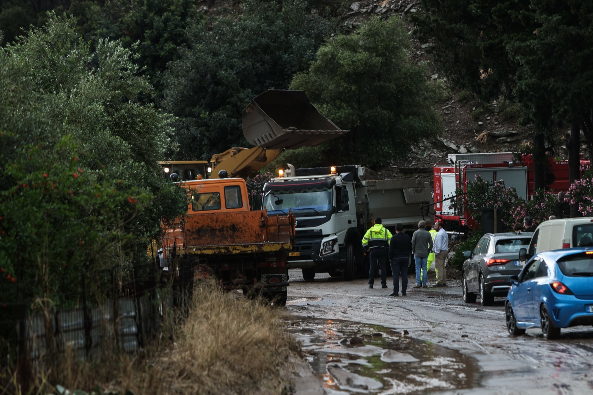 Ισχυροί άνεμοι σαρώνουν τη Δυτική Κρήτη: Πτώσεις δέντρων και προβλήματα σε Χανιά και Ρέθυμνο