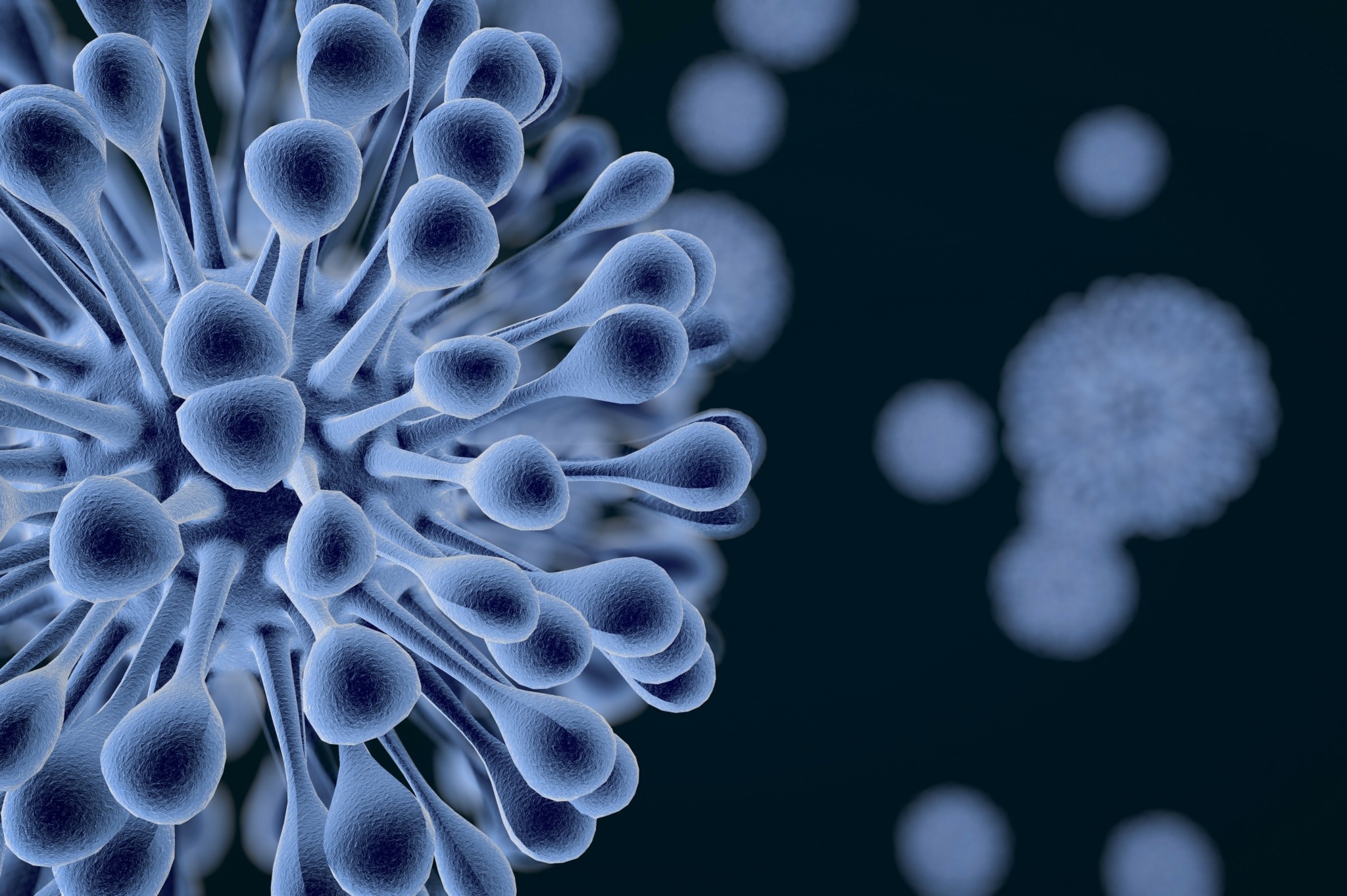 CNN: Αγωνία στους επιστήμονες για φονικούς μύκητες που μπορούν να «μας φάνε από μέσα προς τα έξω»