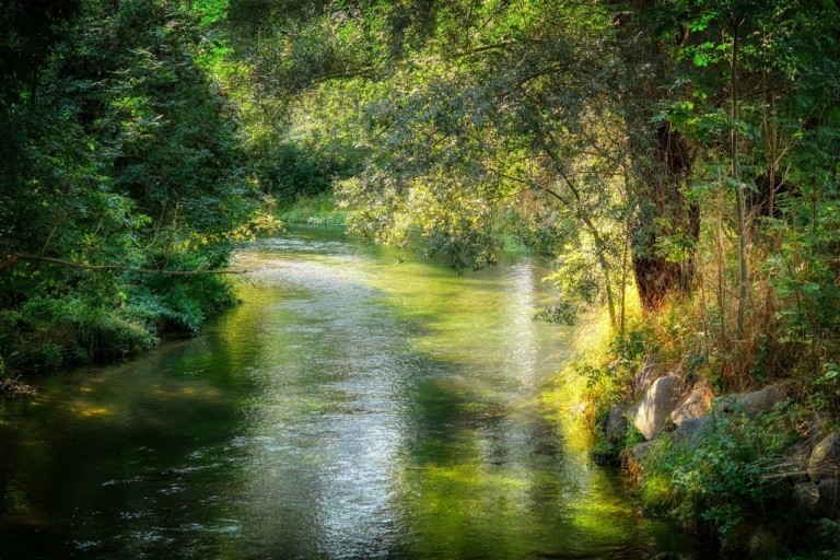 Ανθρώπινη επαφή με τη φύση: Μειώθηκε κατά 60% τα τελευταία 200 χρόνια