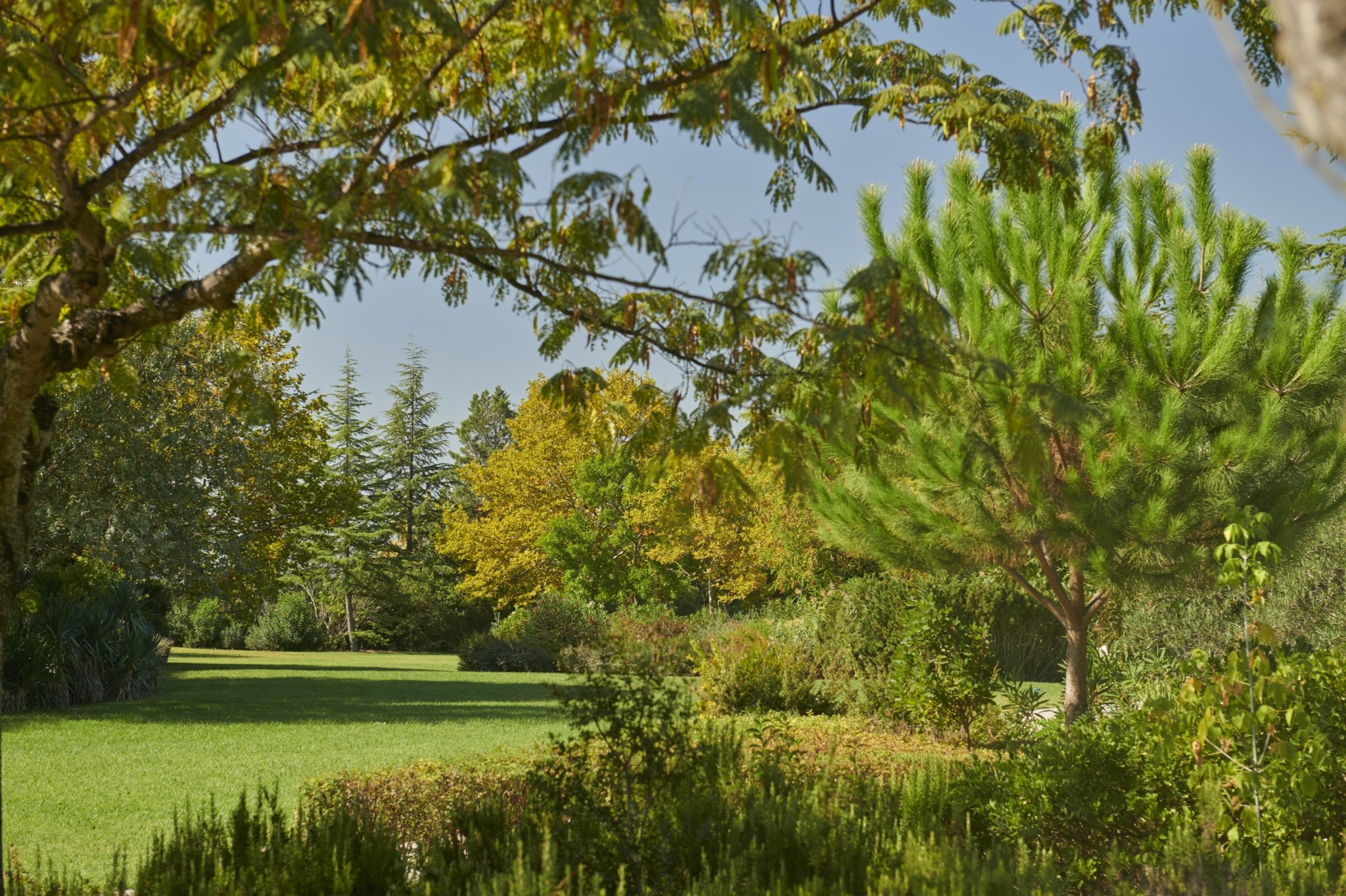 Hyatt Regency Thessaloniki: Πώς μεταμορφώθηκε στον wellness προορισμό της Θεσσαλονίκης